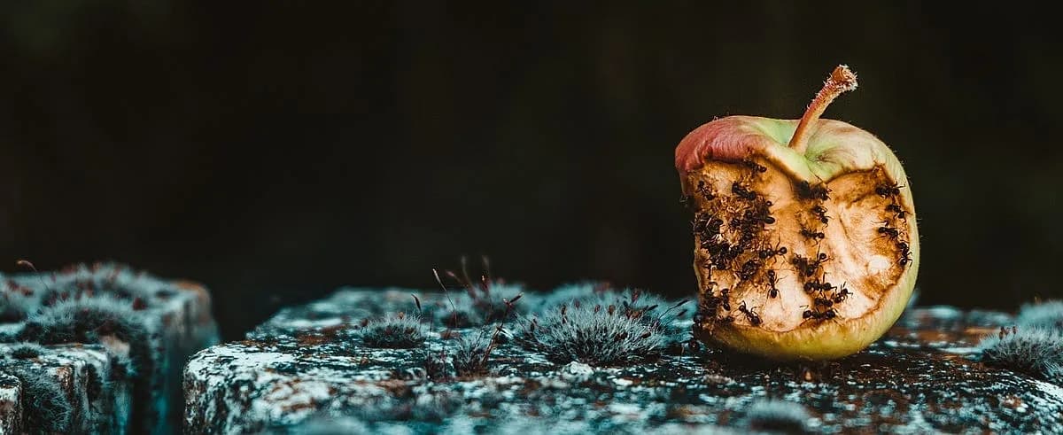 Nos sentimos víctimas de lo que hacen los otros