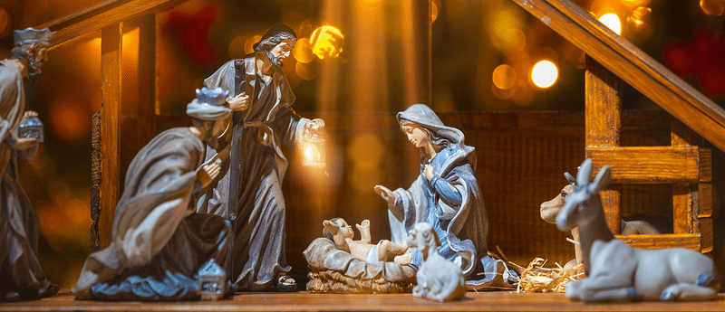 Feliz crecimiento y evolución